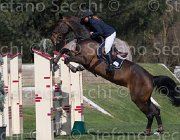 Johansen Lady Catalina TosTour2013- S5 2197 : Arezzo, Arezzo Equestrian Centre, Johansen Ida, LADY CATALINA, Toscana Tour 2013, foto di Stefano Secchi ©